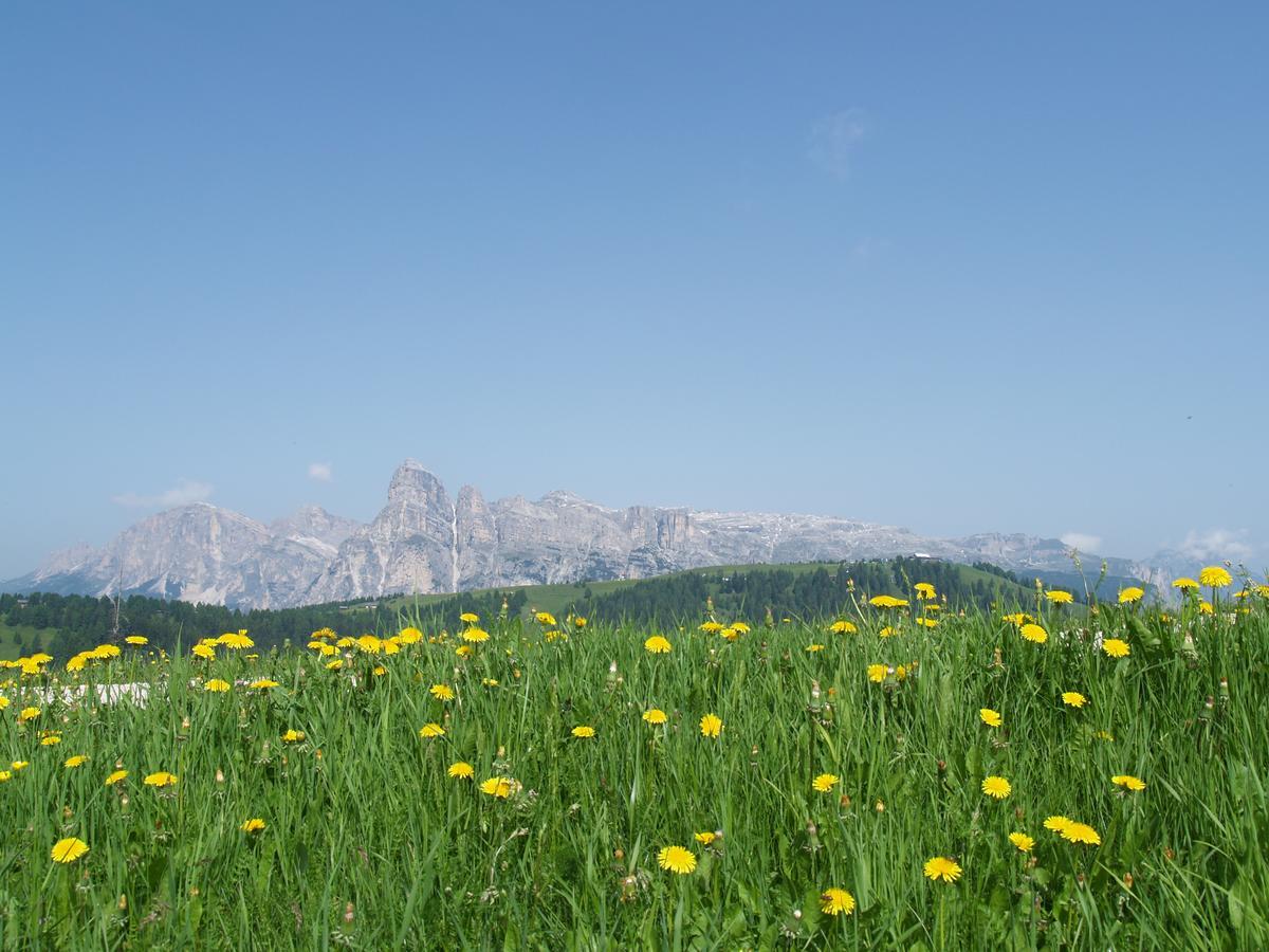Residence Vajolet San Cassiano San Cassiano  Exterior foto