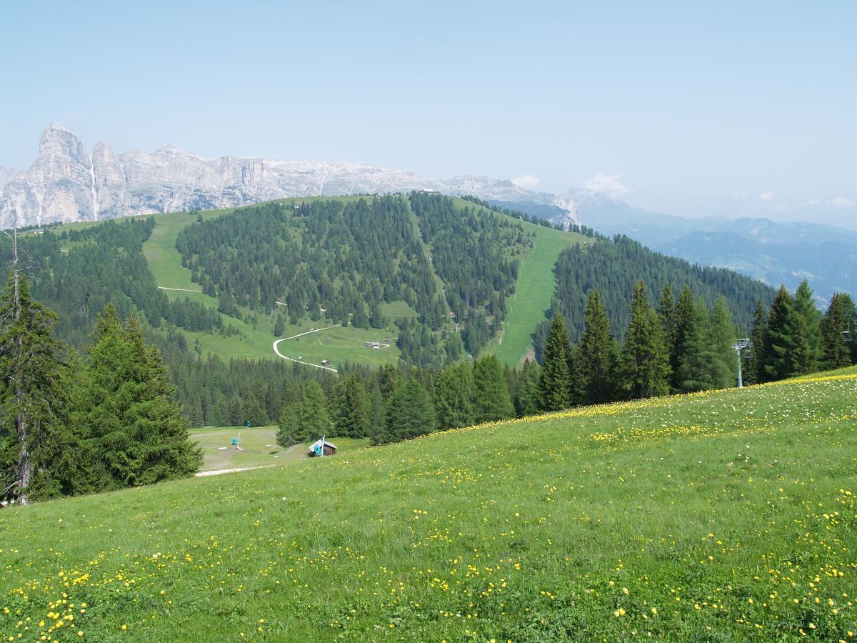 Residence Vajolet San Cassiano San Cassiano  Exterior foto