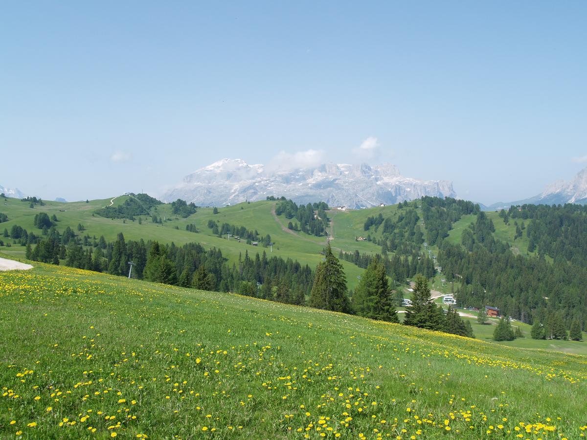 Residence Vajolet San Cassiano San Cassiano  Exterior foto